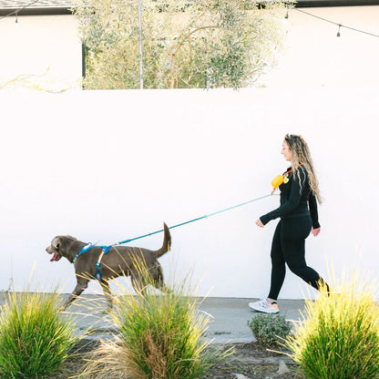 Beau hands-free dog leash — additional photo 13