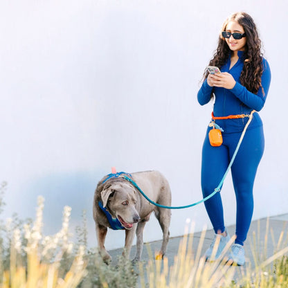 Beau hands-free dog leash — additional photo 10