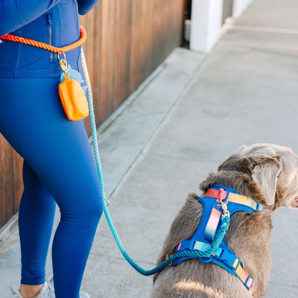 Beau hands-free dog leash — additional photo 11
