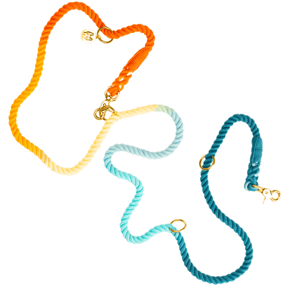 Beau – Hands-Free Rope Dog Leash 7ft for Running