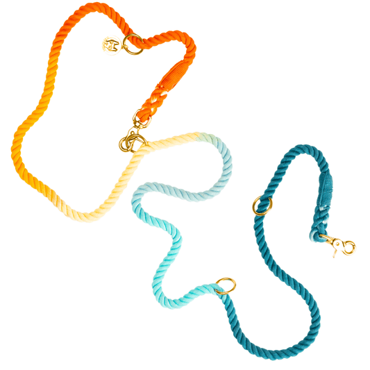 Beau – Hands-Free Rope Dog Leash 7ft for Running
