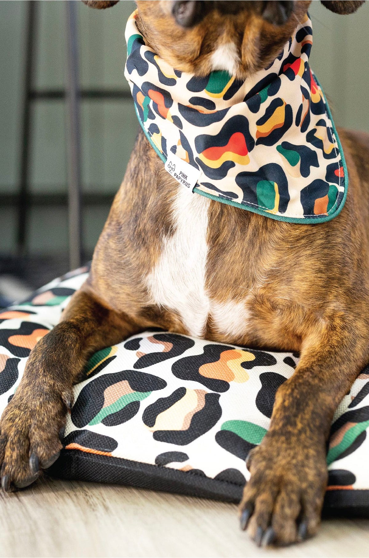 Beckett dog bed — additional photo 3