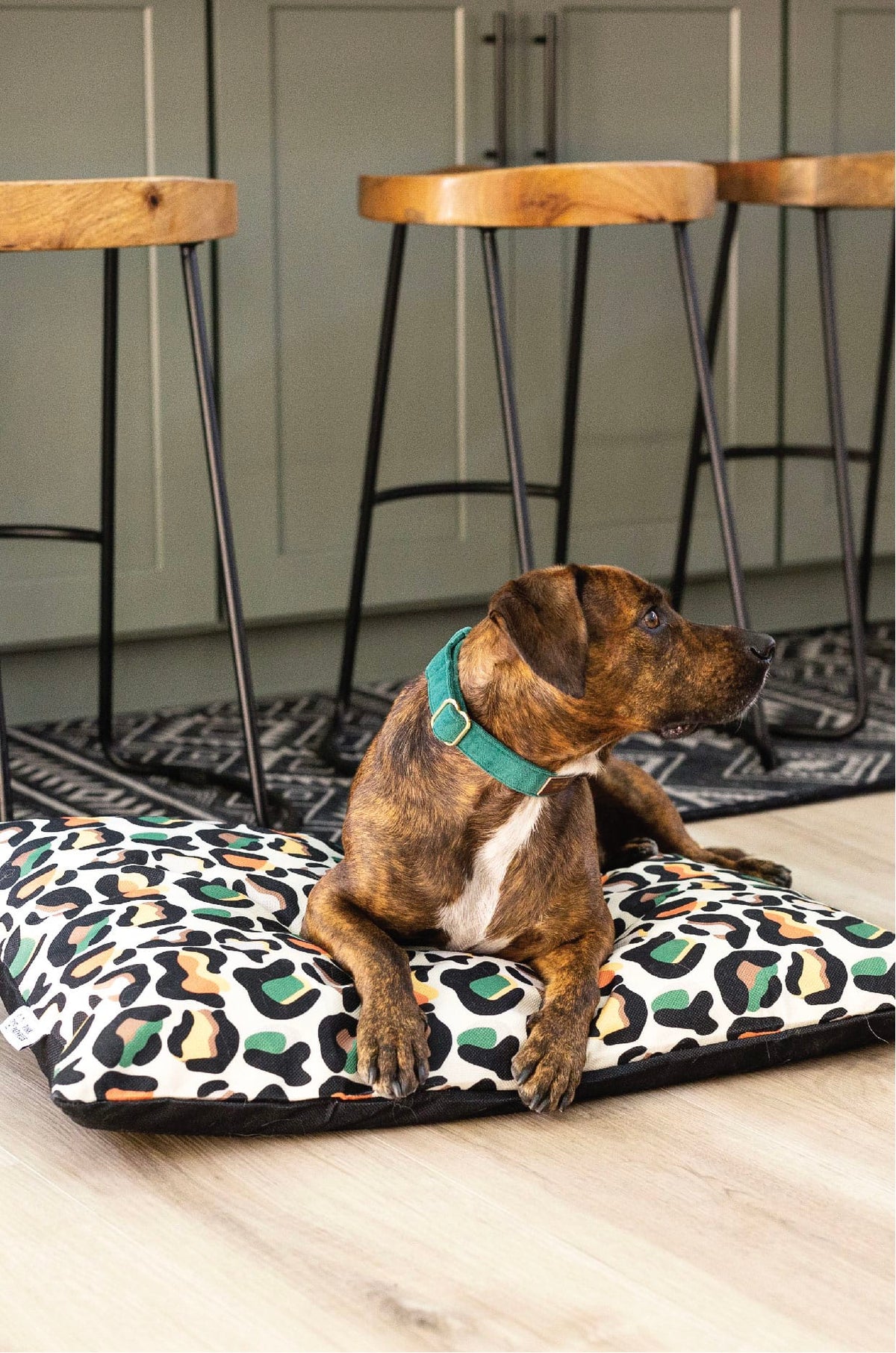 Beckett dog bed — additional photo 4