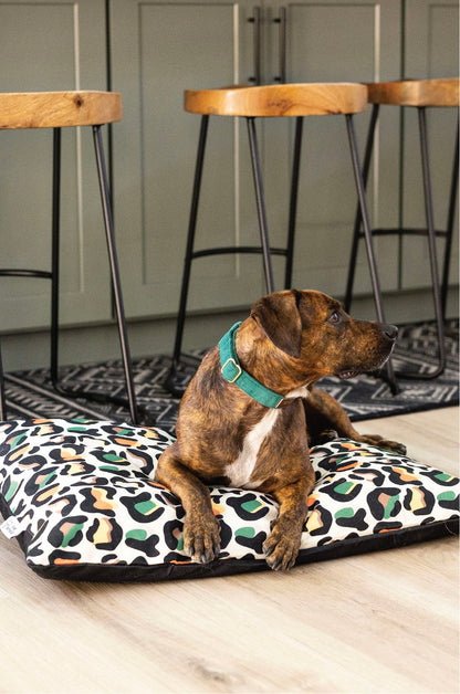 Beckett dog bed — additional photo 4