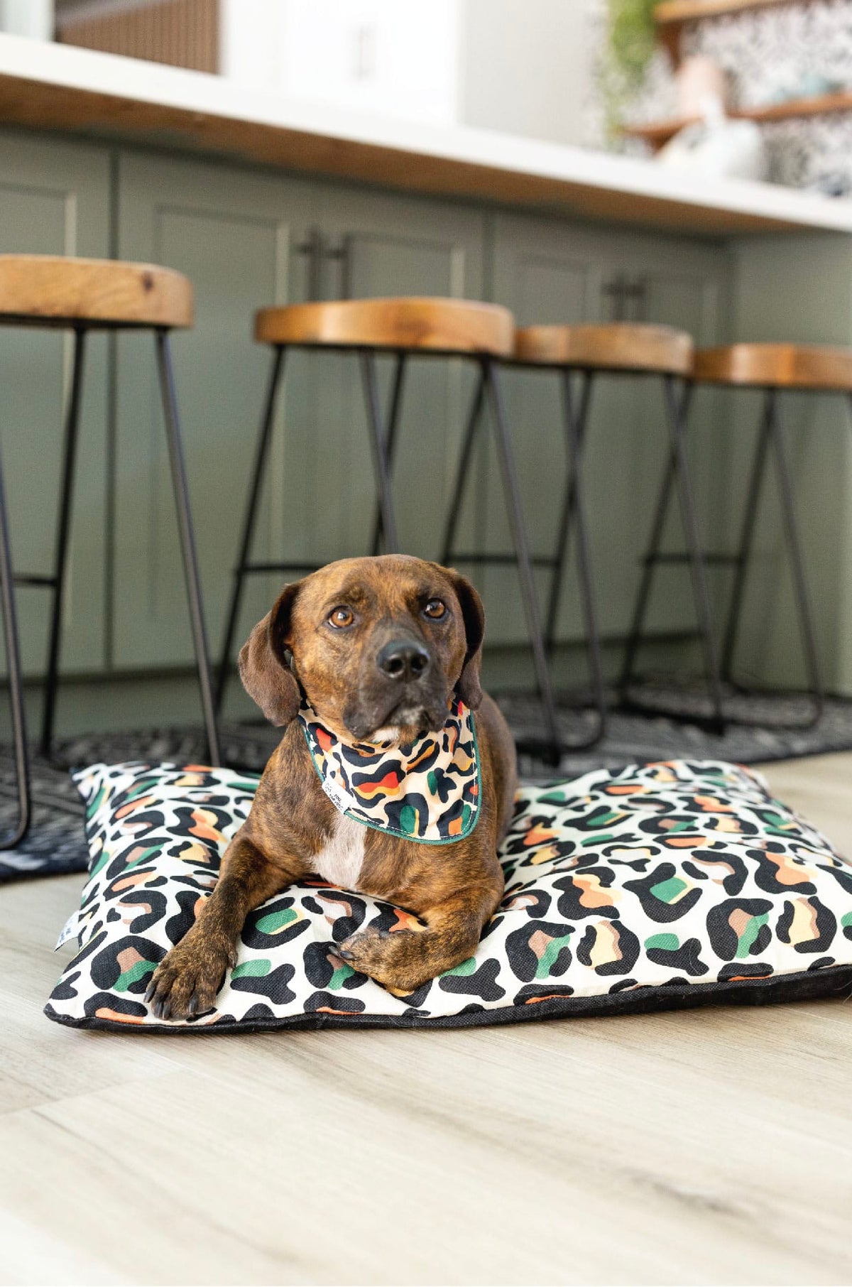 Beckett dog bed — additional photo 5