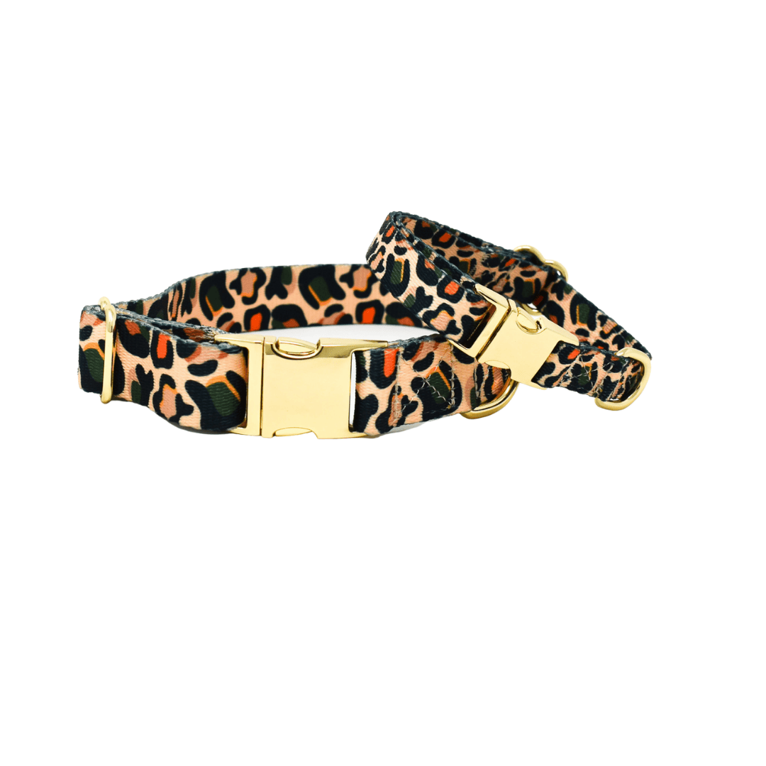 Beckett – Leopard Print Dog Collar, Adjustable XS–L