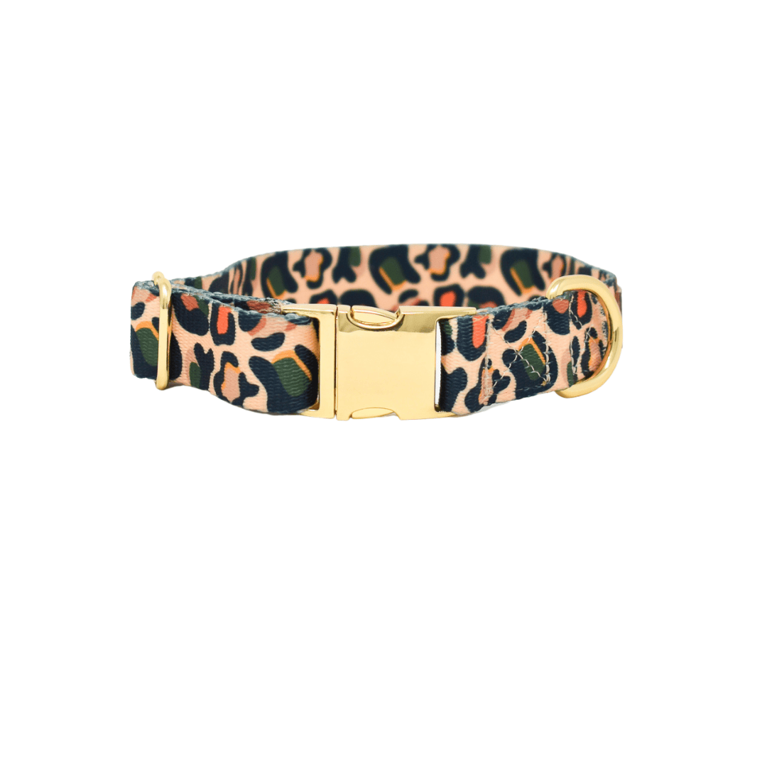 Beckett dog collar — additional photo 2