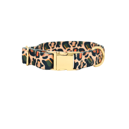 Beckett dog collar — additional photo 2