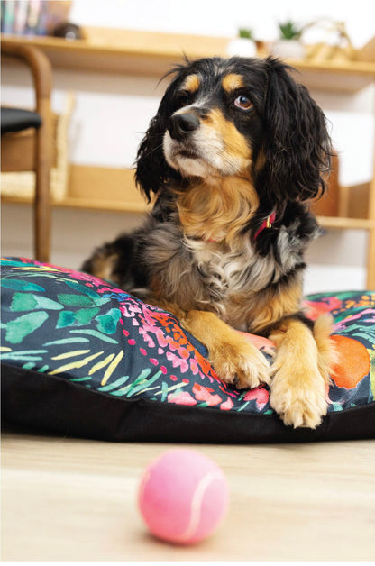Bella dog bed — additional photo 3