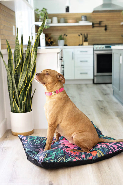Bella dog bed — additional photo 4