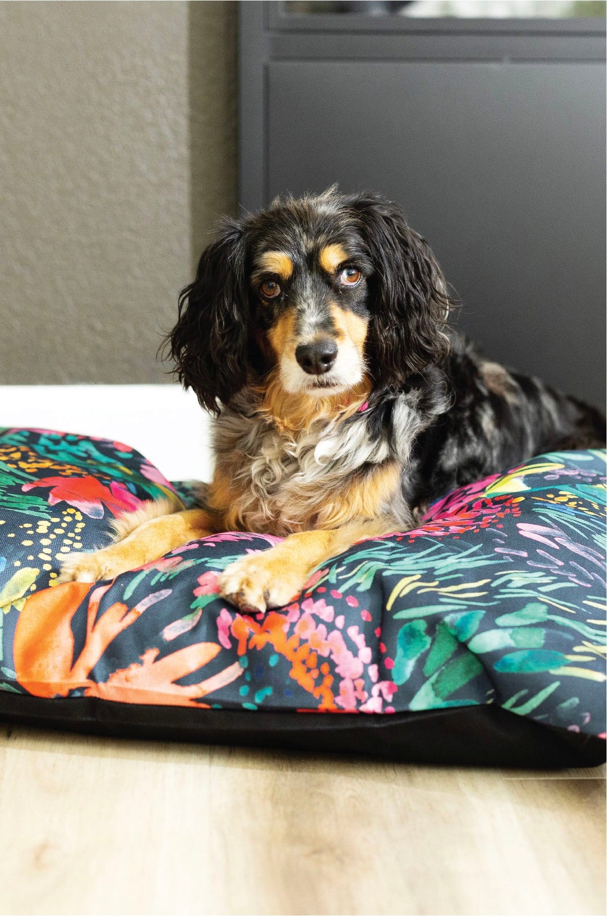 Bella dog bed — additional photo 5