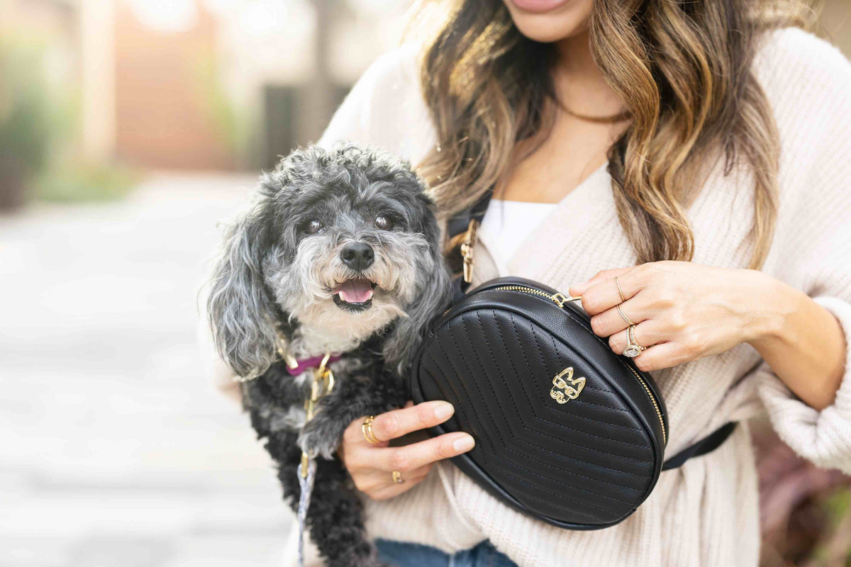 Blair hands-free walking belt bag — additional photo 5
