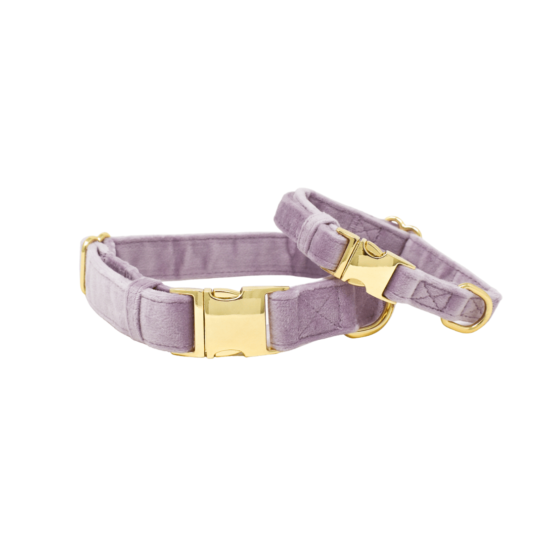 Billie – Lilac Dog Collar, Adjustable XS–L