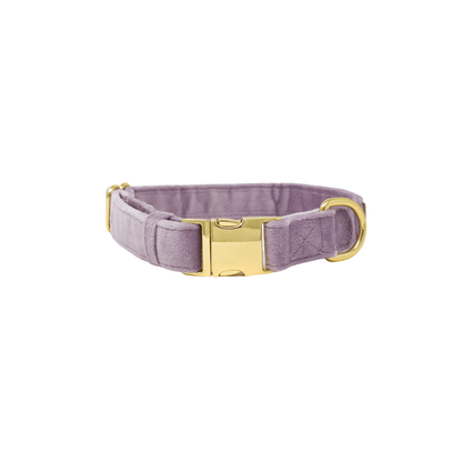 Billie dog collar — additional photo 2