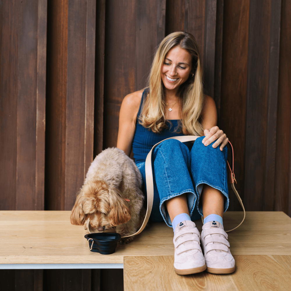 Onyx Heart Collapsible Dog Bowl — additional photo 6