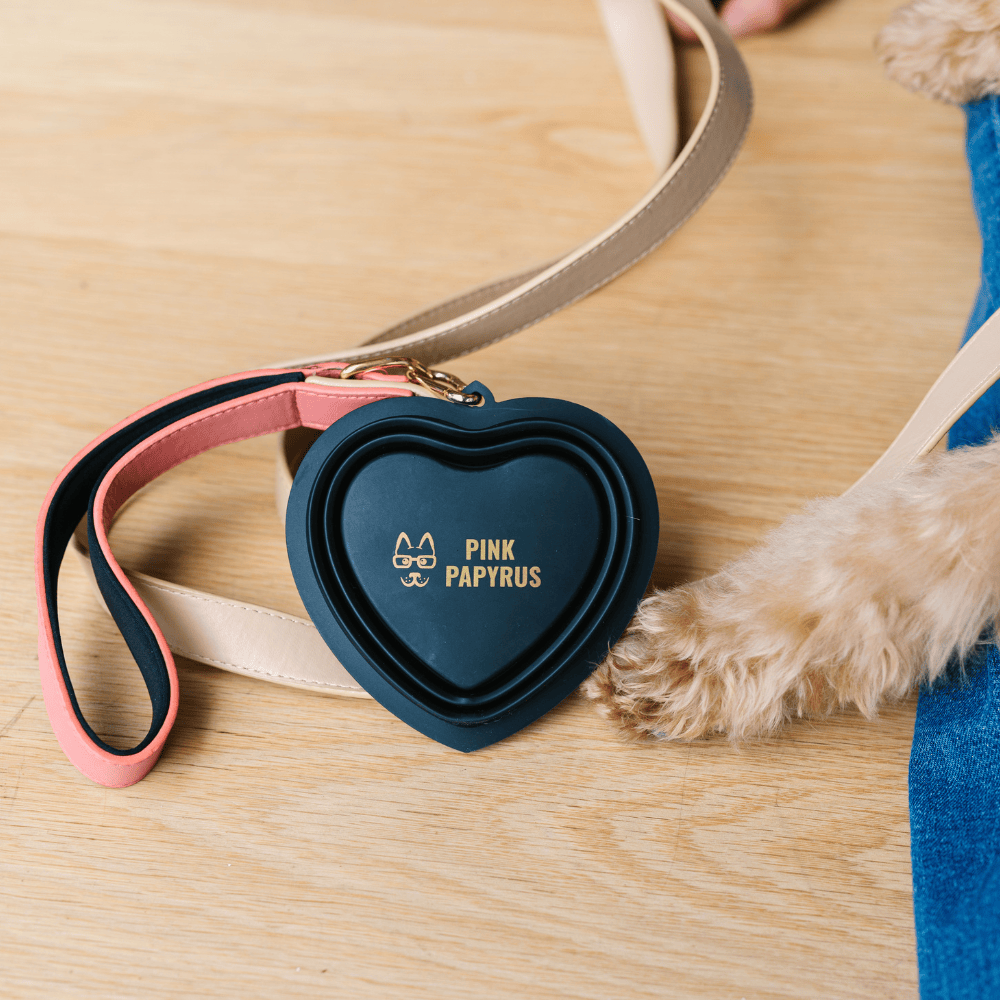 Onyx Heart Collapsible Dog Bowl — additional photo 5