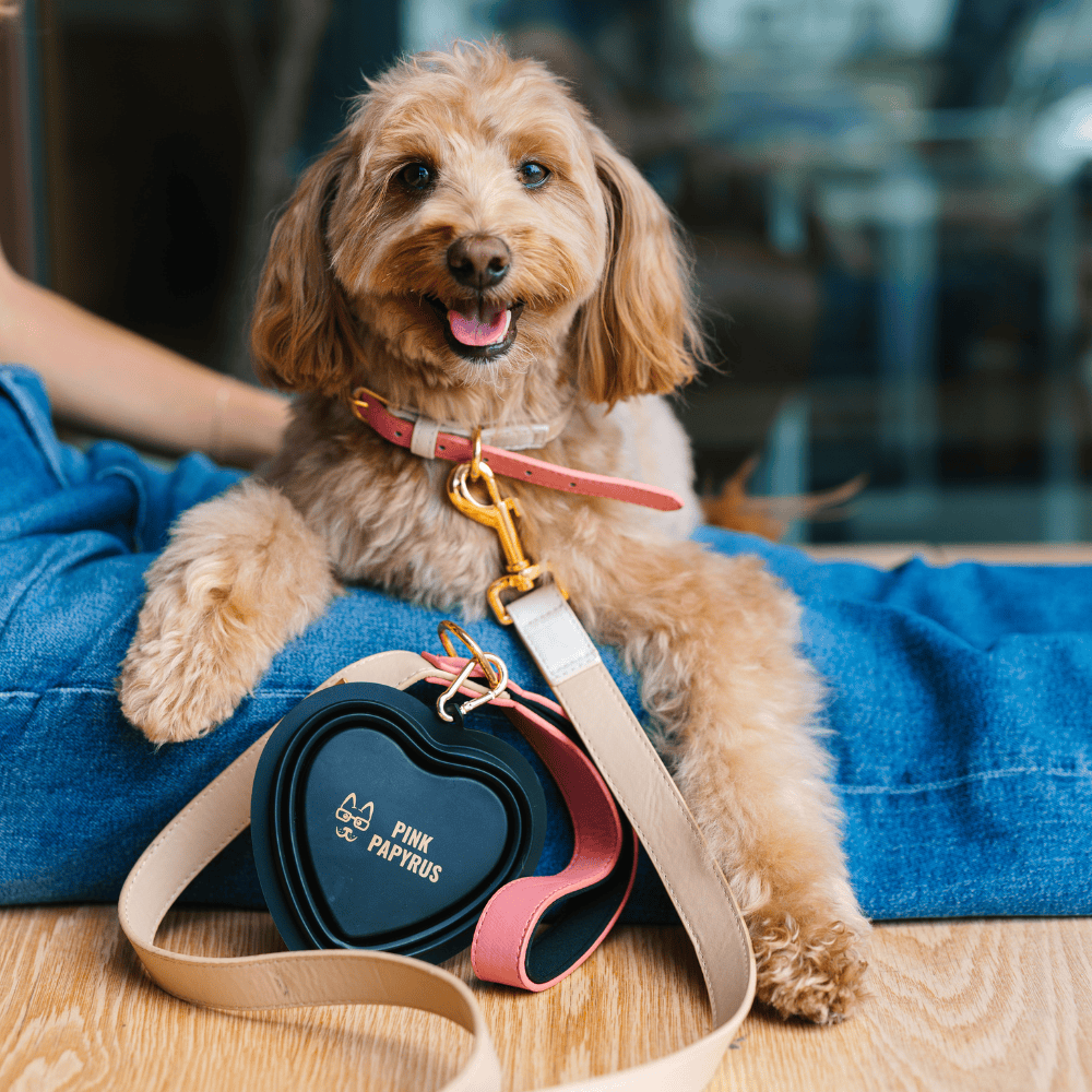 Onyx Heart Collapsible Dog Bowl — additional photo 3