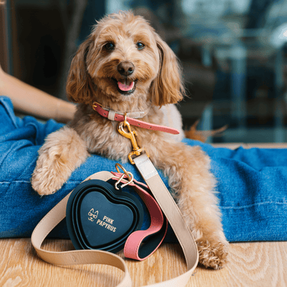 Onyx Heart Collapsible Dog Bowl — additional photo 3