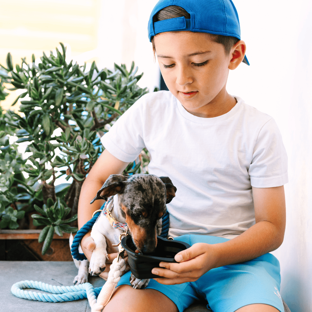 Onyx Heart Collapsible Dog Bowl — additional photo 4