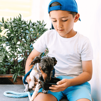 Onyx Heart Collapsible Dog Bowl — additional photo 4