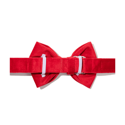 Blaze dog bow tie — additional photo 2