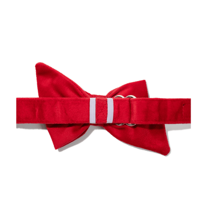 Blaze dog babe bow — additional photo 2