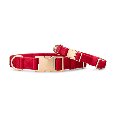 Blaze – Velvet Dog Collar, Adjustable XS–L