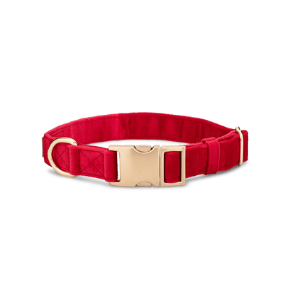 Blaze dog collar — additional photo 2