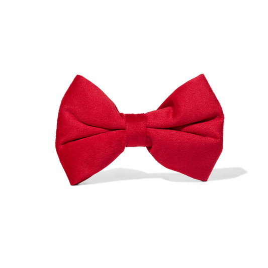 Blaze – Red Dog Bow Tie for Any Collar, S & L
