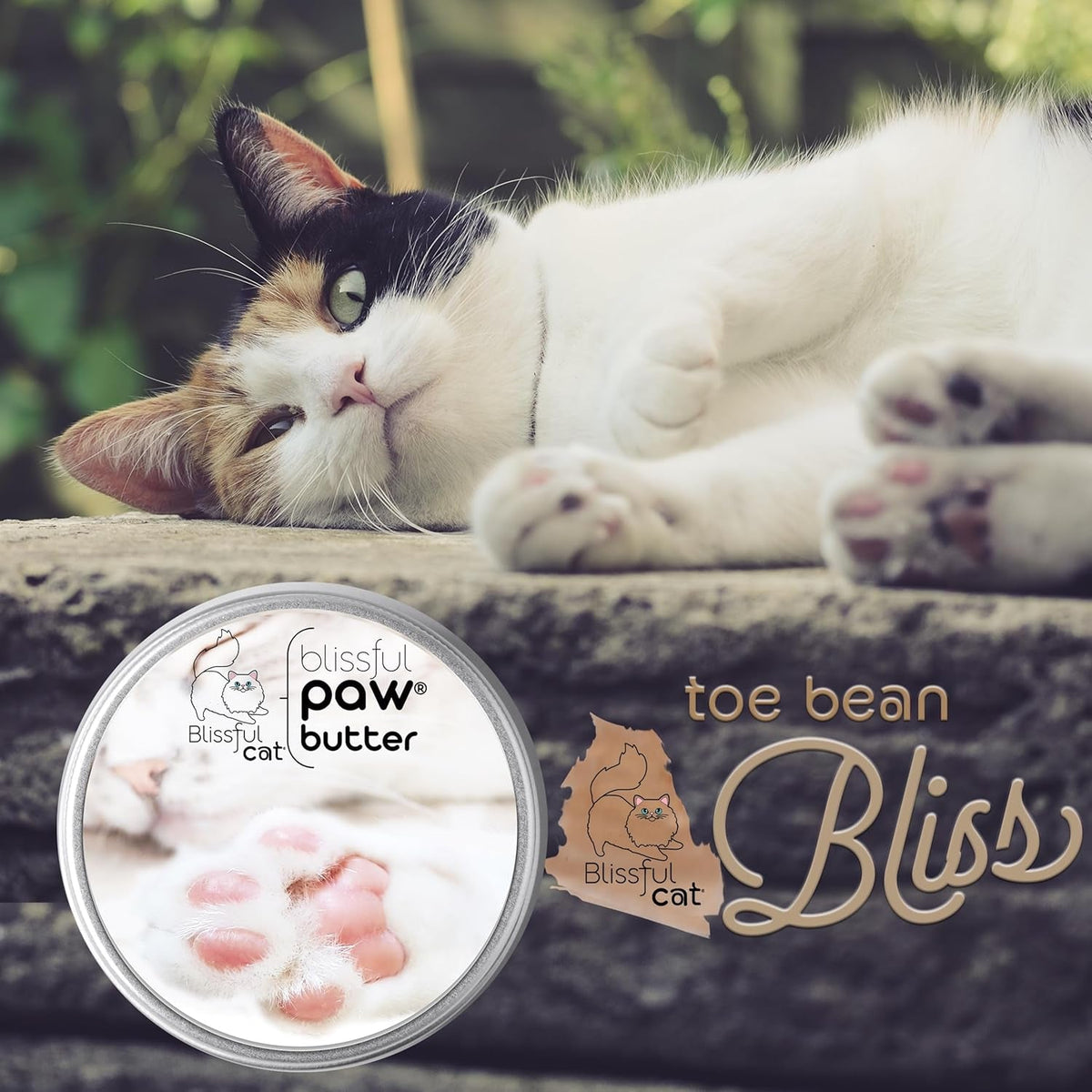Cat Paw Butter Balm for Dry Pads, 1 oz
