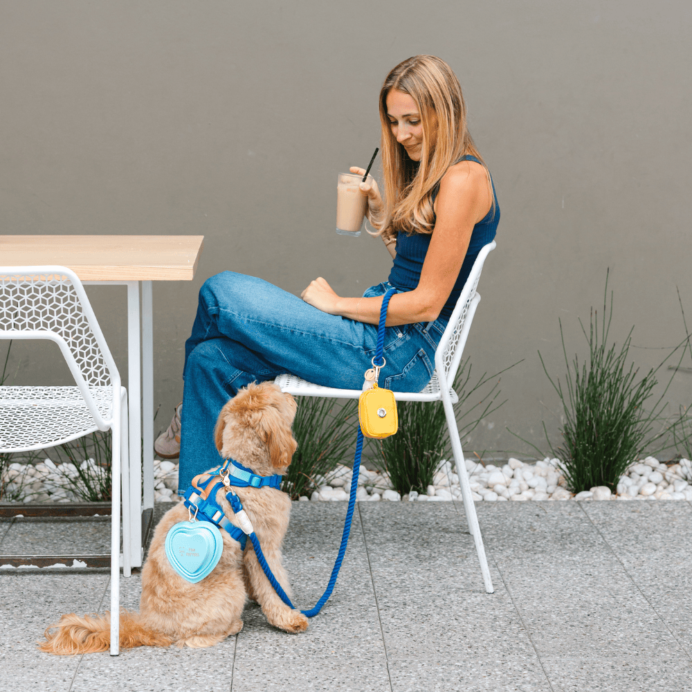 Aqua Heart Collapsible Dog Bowl — additional photo 3