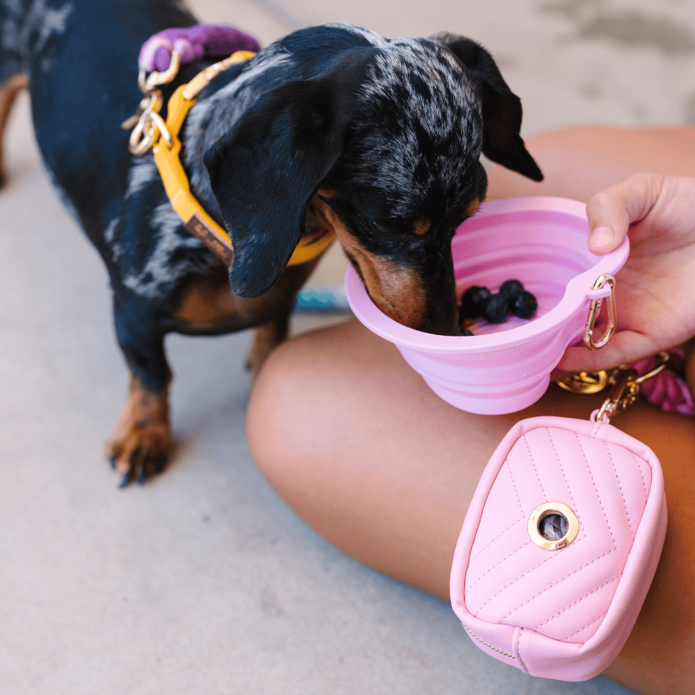 Bubblegum Heart Collapsible Dog Bowl — additional photo 7