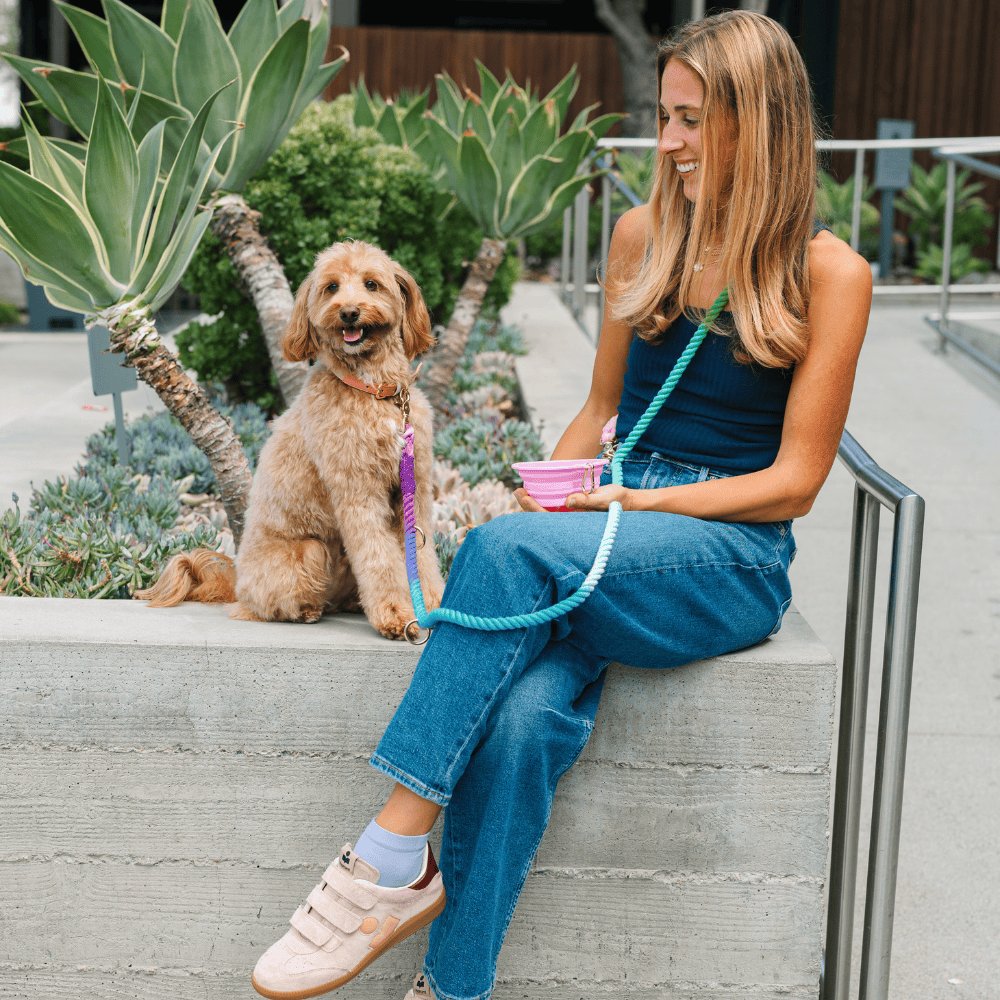 Bubblegum Heart Collapsible Dog Bowl — additional photo 5