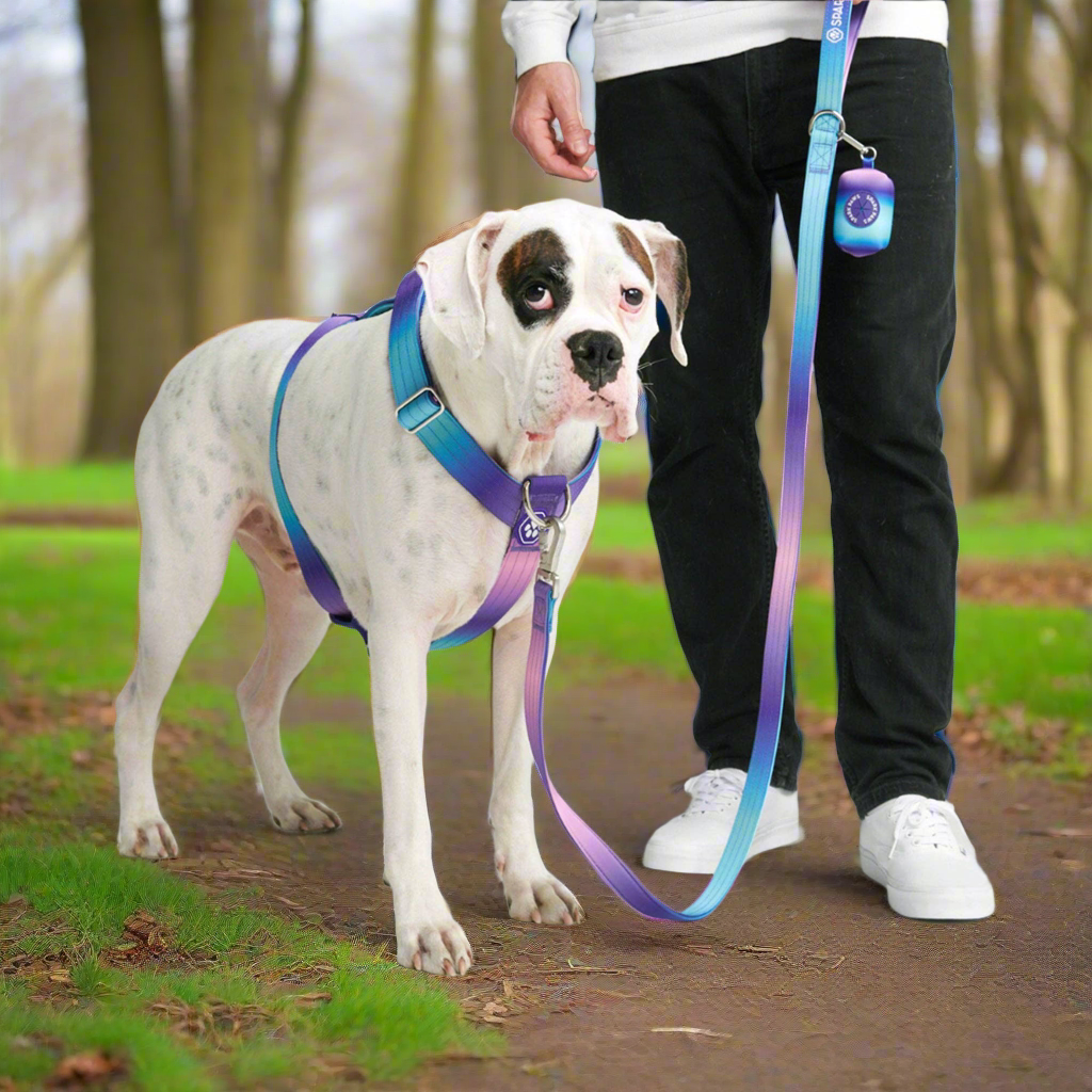 Comfort Control 90s retro no-pull dog harness - view 3