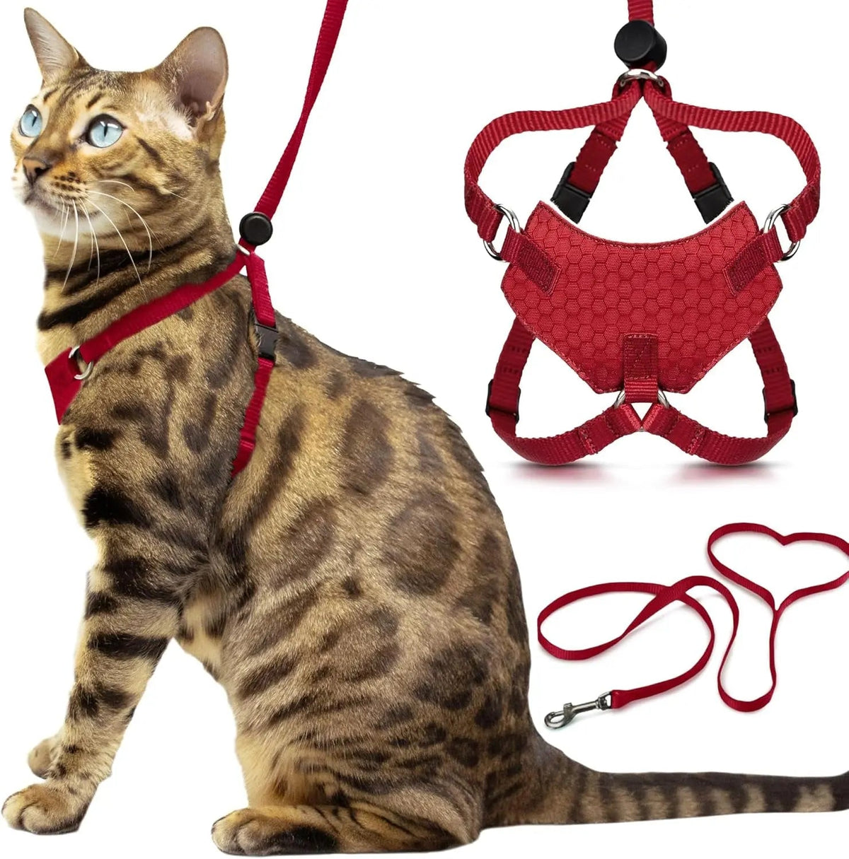 Escape-Proof Cat Walking Harness and Leash Set