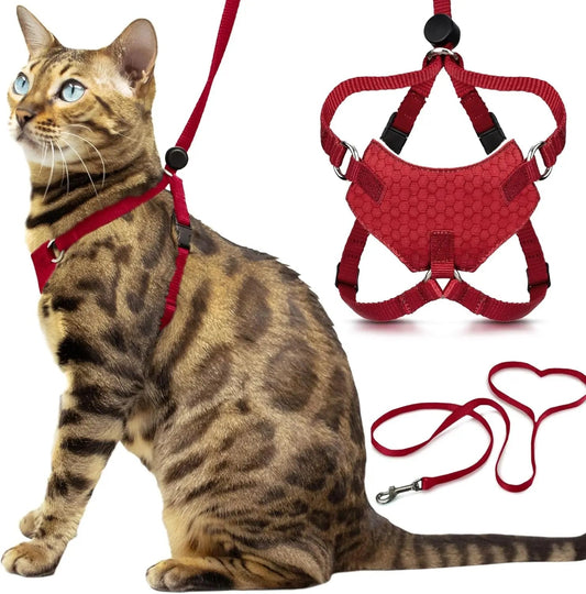 Escape-Proof Cat Walking Harness and Leash Set