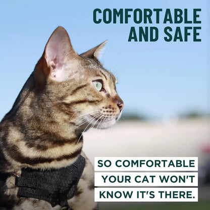 Escape-Proof Cat Walking Harness and Leash Set