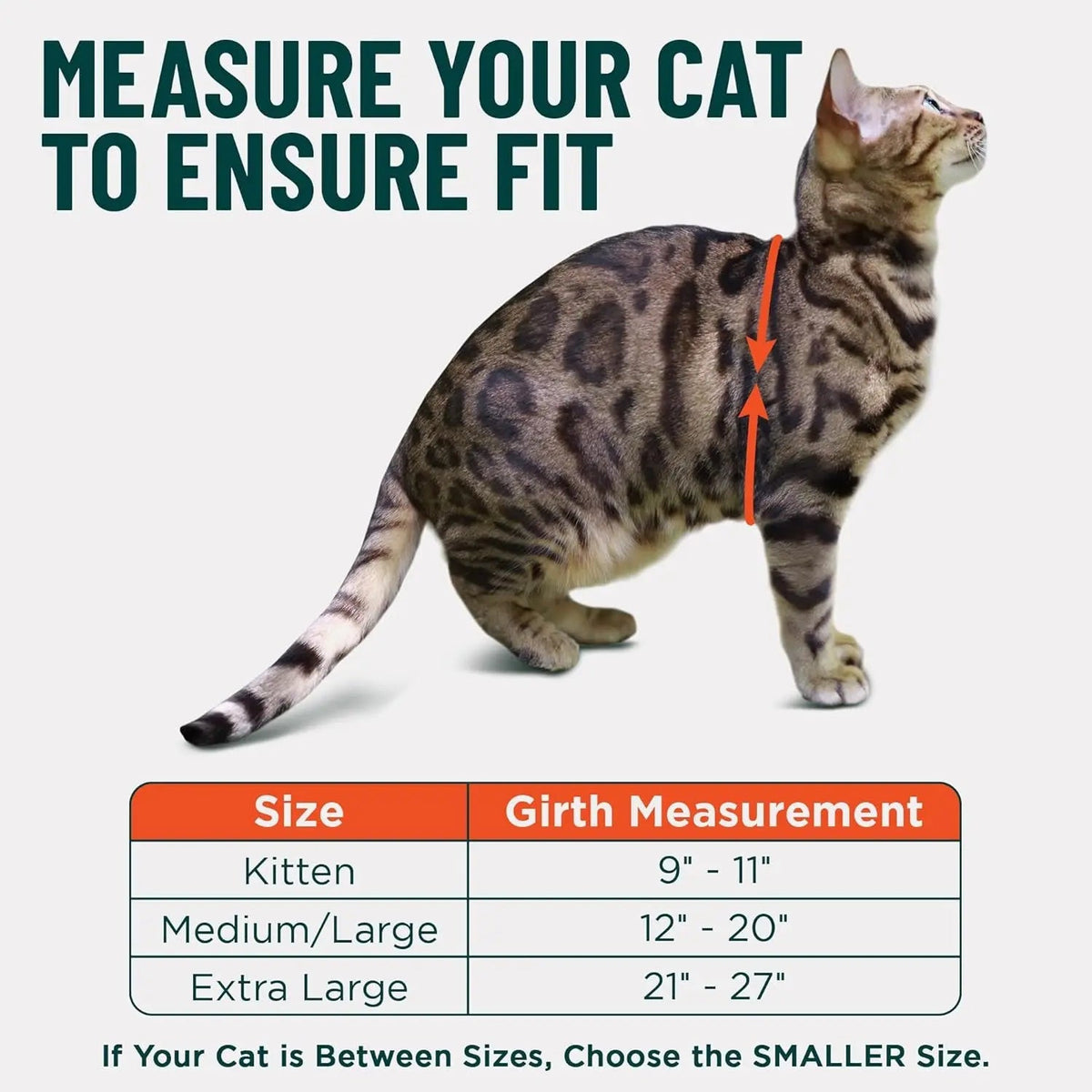 Escape-Proof Cat Walking Harness and Leash Set