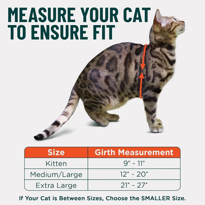 Escape-Proof Cat Walking Harness and Leash Set