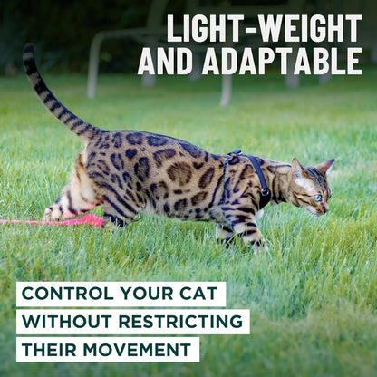 Escape-Proof Cat Walking Harness and Leash Set