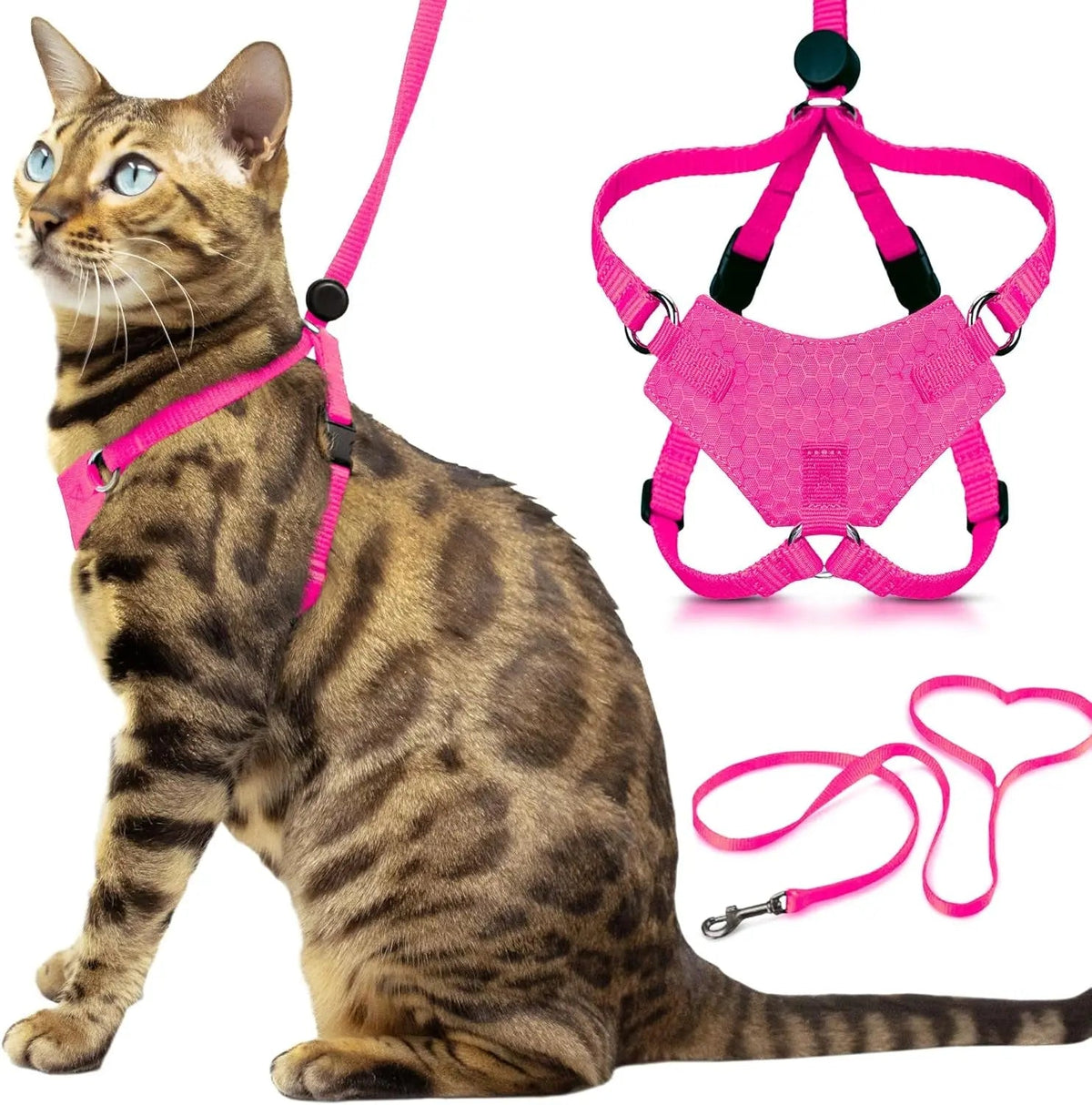 Escape-Proof Cat Walking Harness and Leash Set