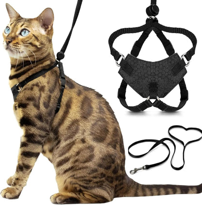 Escape-Proof Cat Walking Harness and Leash Set