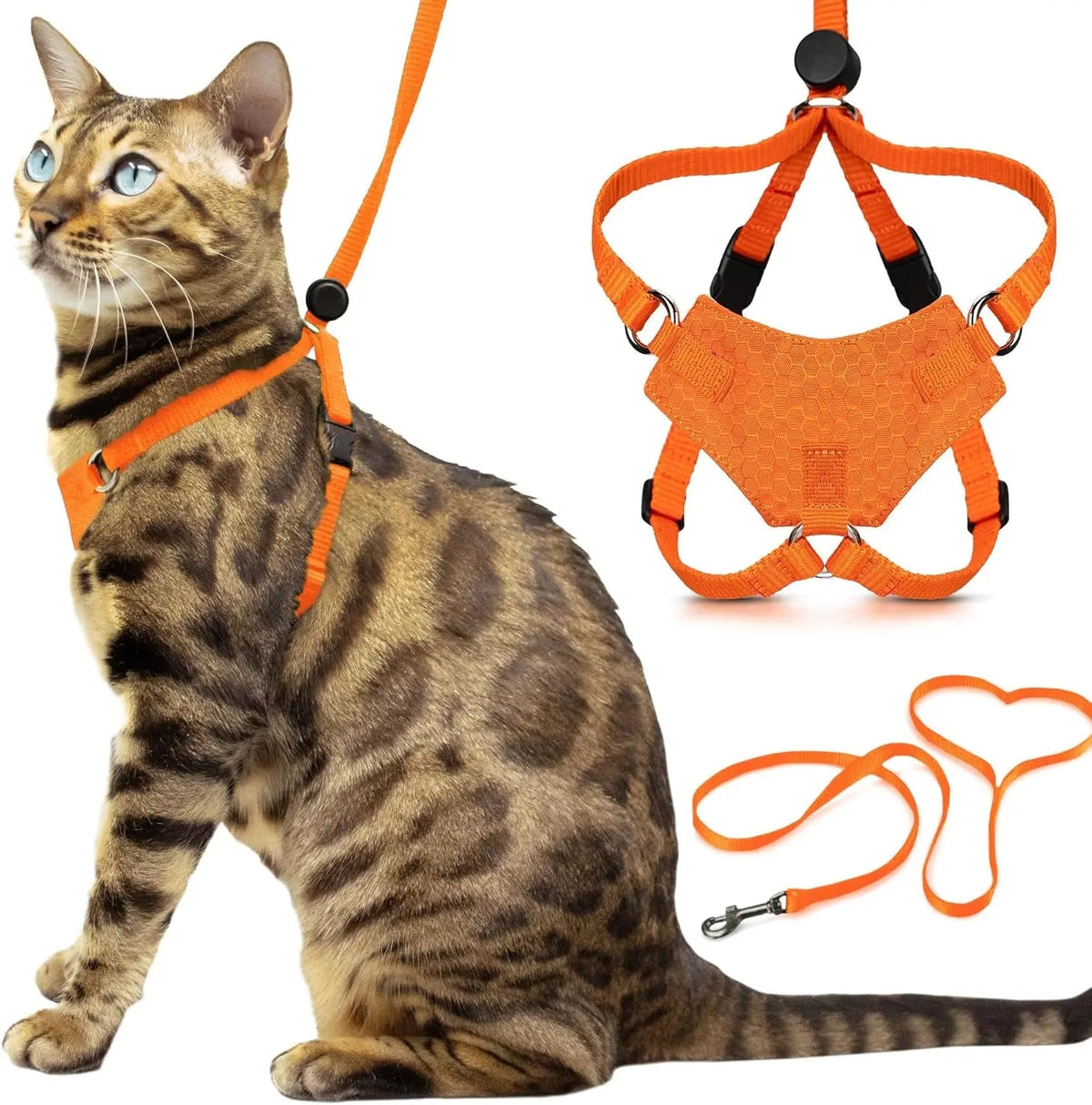 Escape-Proof Cat Walking Harness and Leash Set