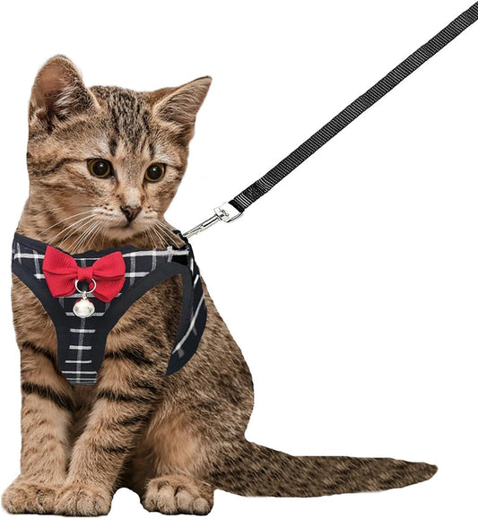 Mesh Cat Harness and Leash Set, Adjustable Vest