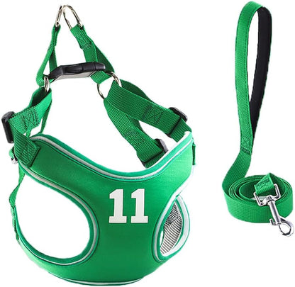 Mesh Cat Harness and Leash Set, Adjustable Vest