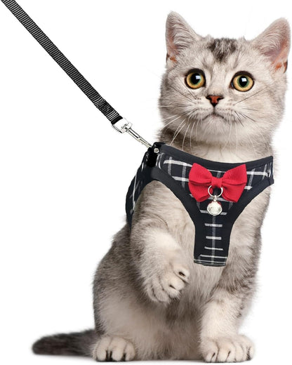 Mesh Cat Harness and Leash Set, Adjustable Vest