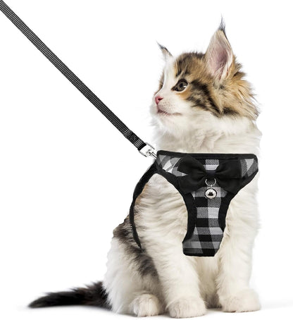 Mesh Cat Harness and Leash Set, Adjustable Vest