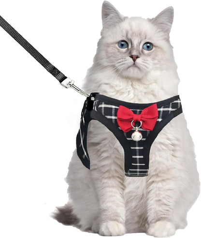 Mesh Cat Harness and Leash Set, Adjustable Vest