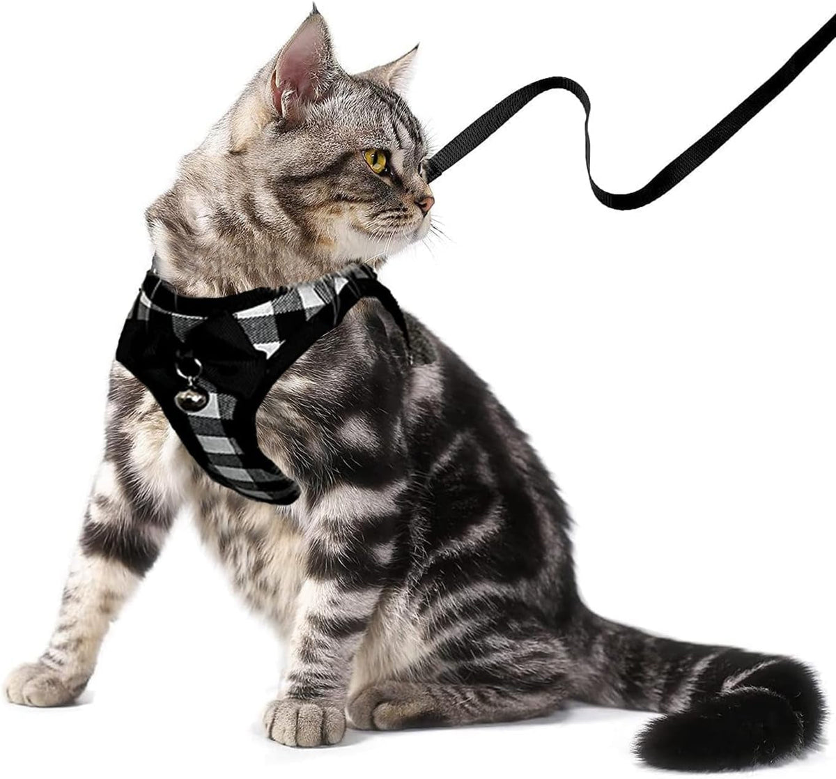 Mesh Cat Harness and Leash Set, Adjustable Vest