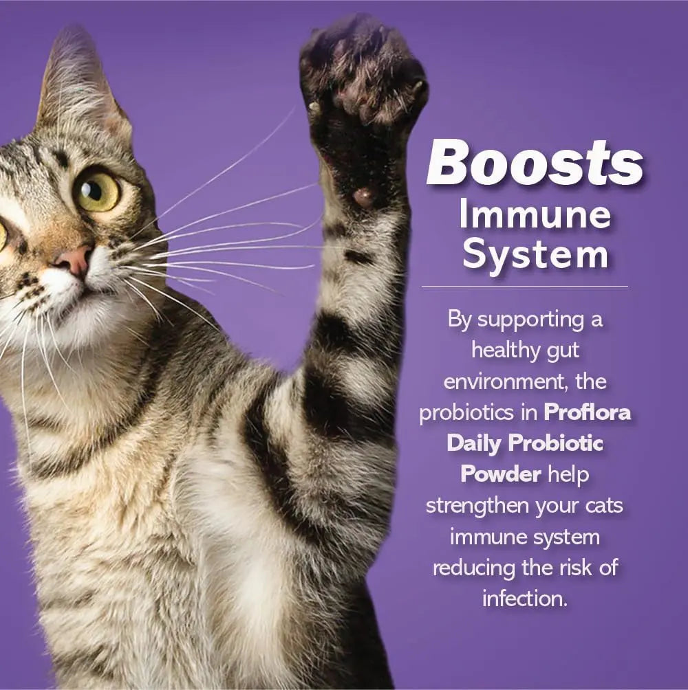 Cat Probiotic Powder, 30 Packets
